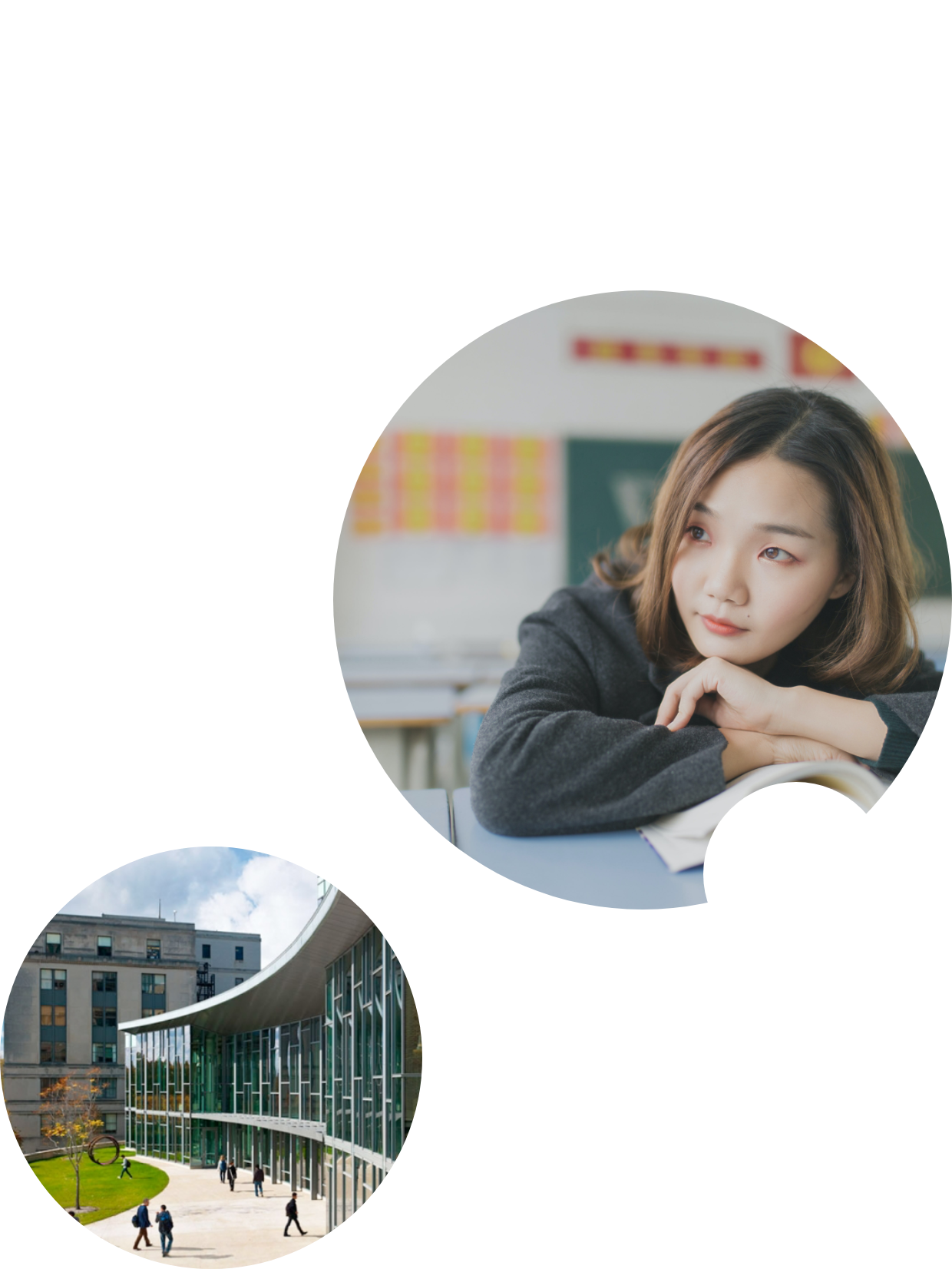 Which Ivy League College Is Right For Me? Quiz